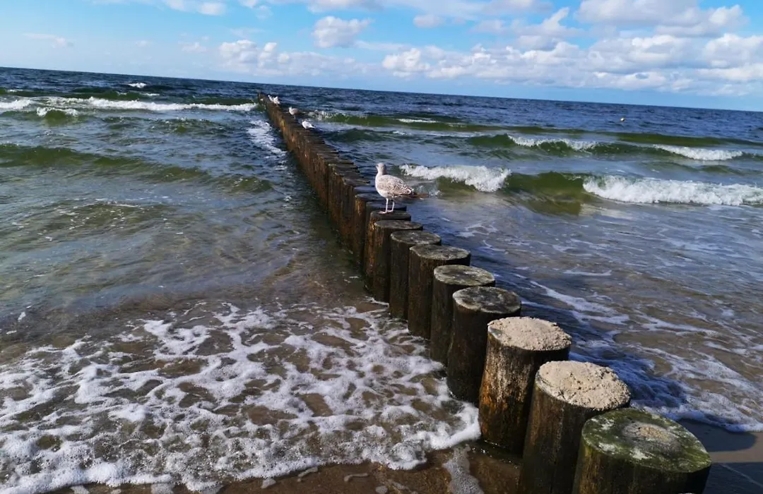 Blue Sea Kołobrzeg-1